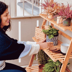 Wonderful Plant Shelf Stand